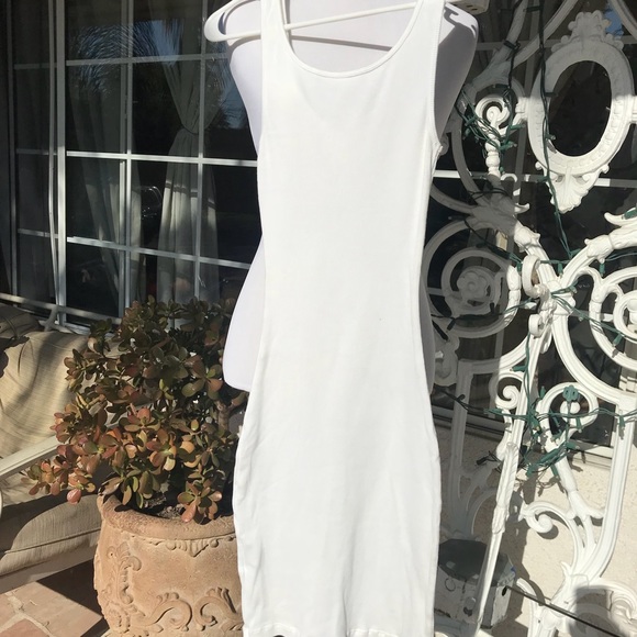 Theodore - Picture 3 of 4